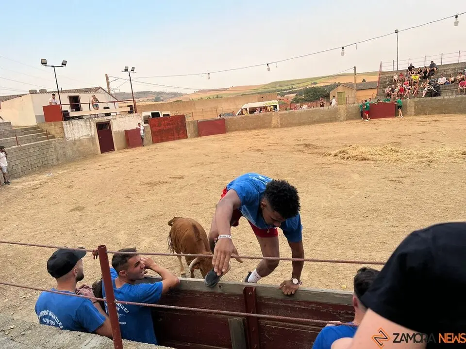 Grand Prix de peñas Coreses_40