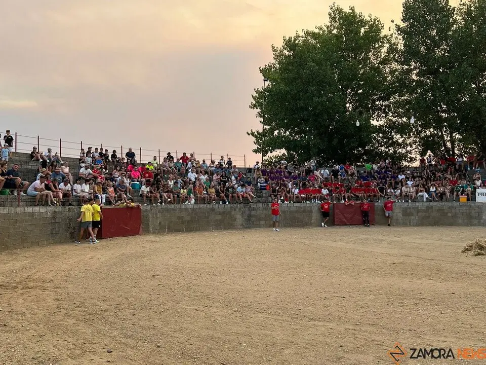 Grand Prix de peñas Coreses_41