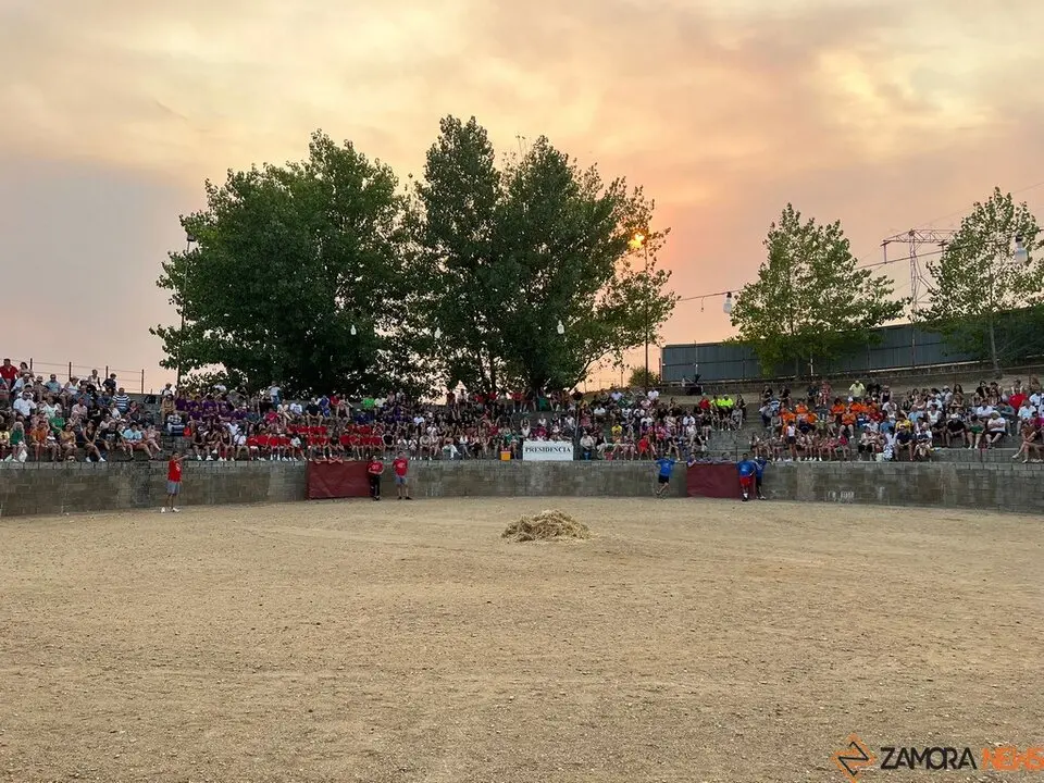 Grand Prix de peñas Coreses_42