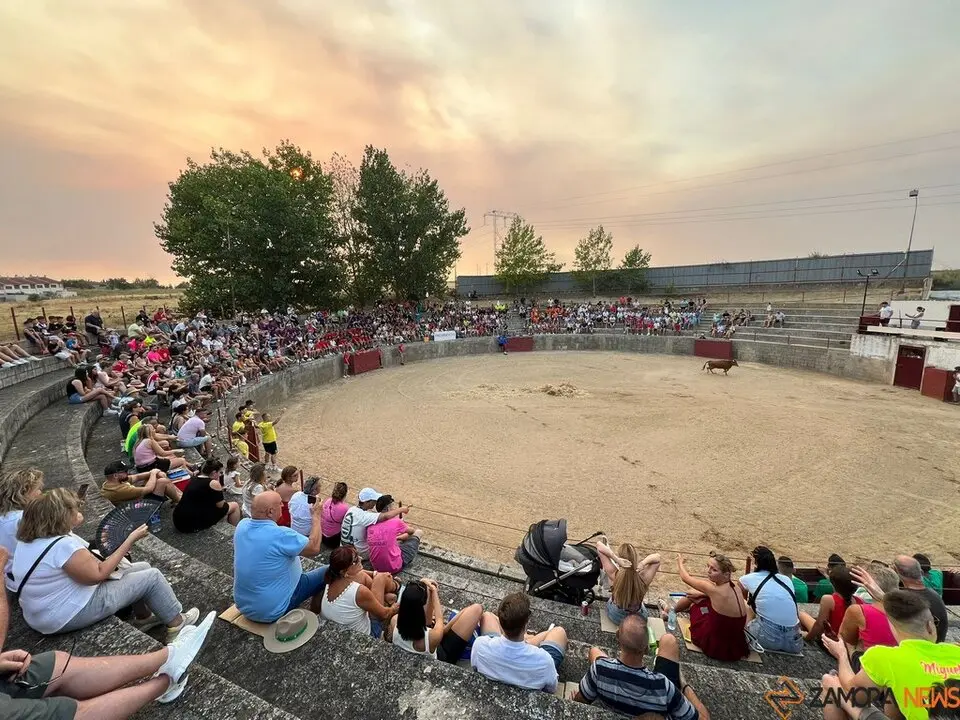 Grand Prix de peñas Coreses_43