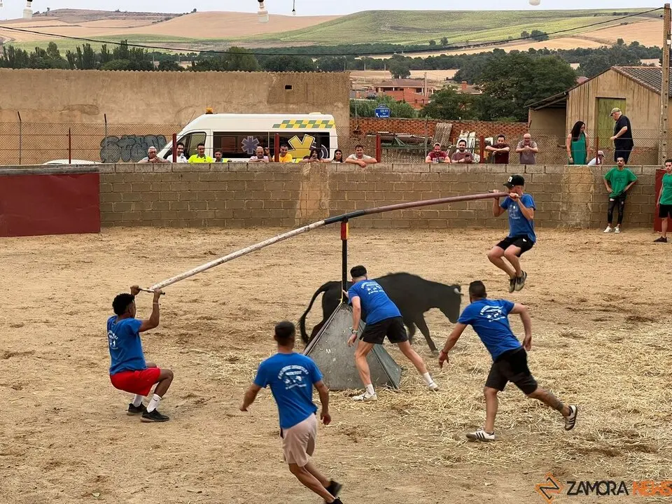 Grand Prix de peñas Coreses