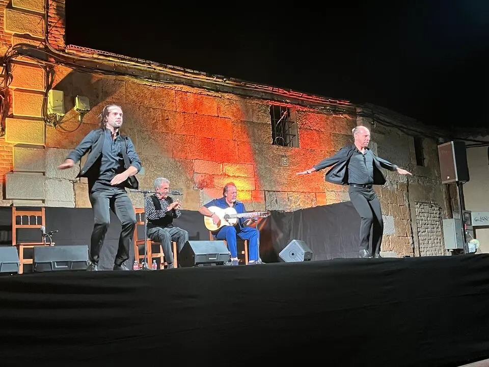 flamenco villaralbo  (5)