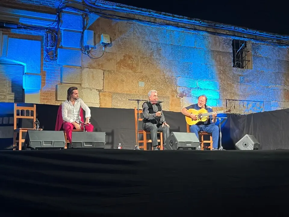 flamenco villaralbo  (7)