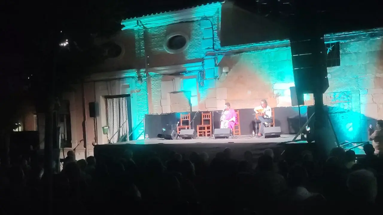 flamenco villaralbo  (10)