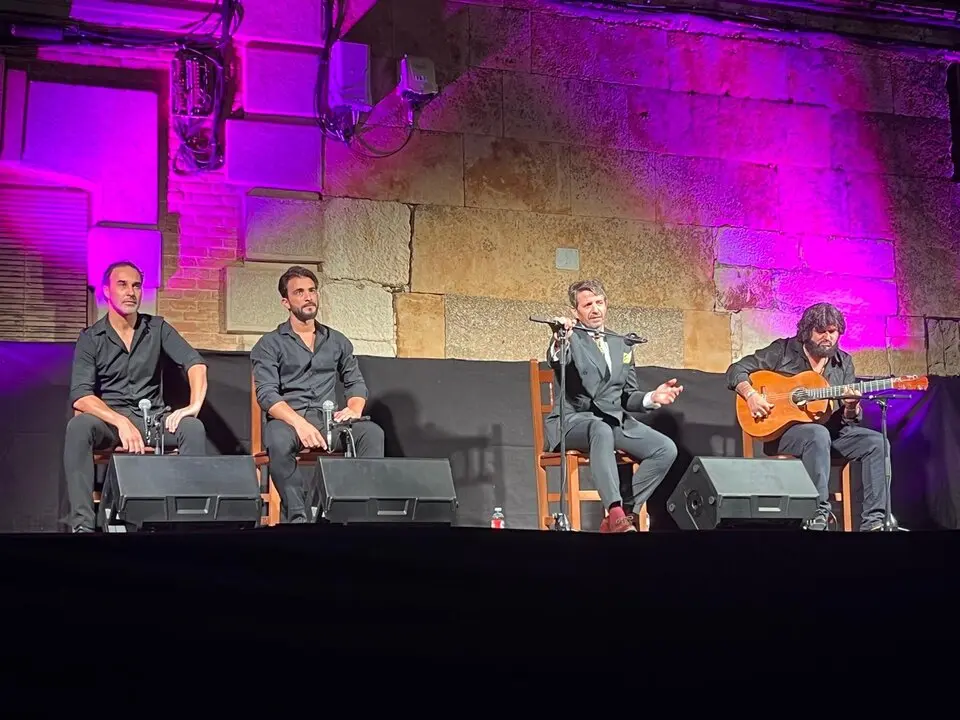 flamenco villaralbo  (11)