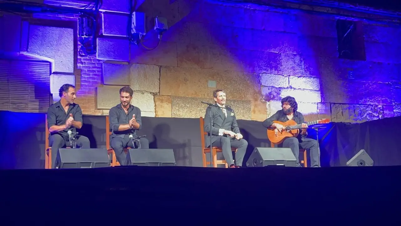 flamenco villaralbo  (13)