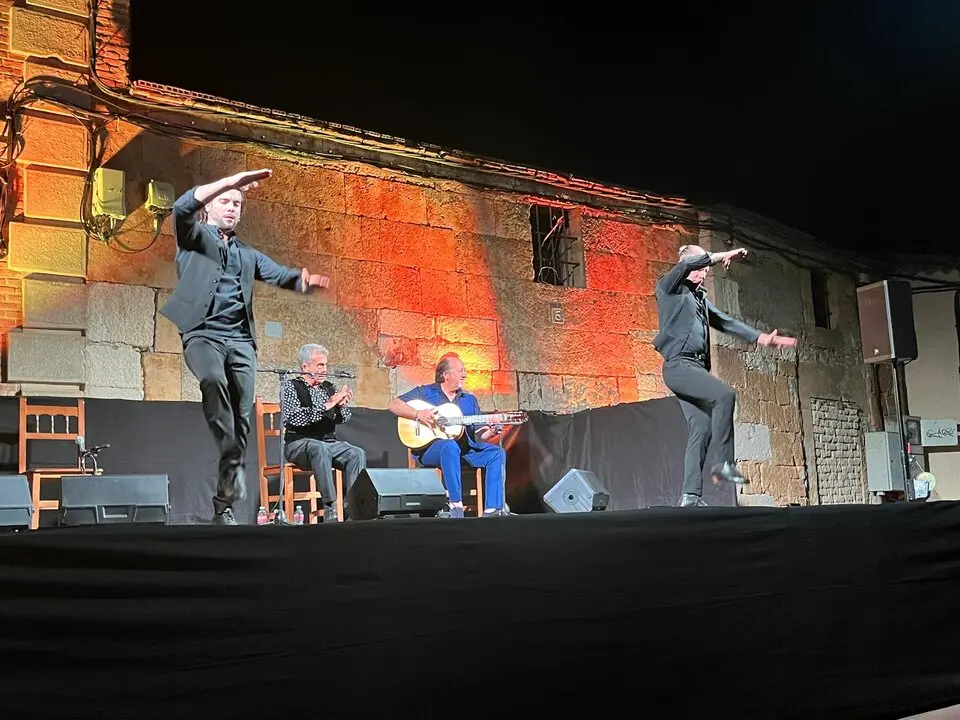 flamenco villaralbo  (12)