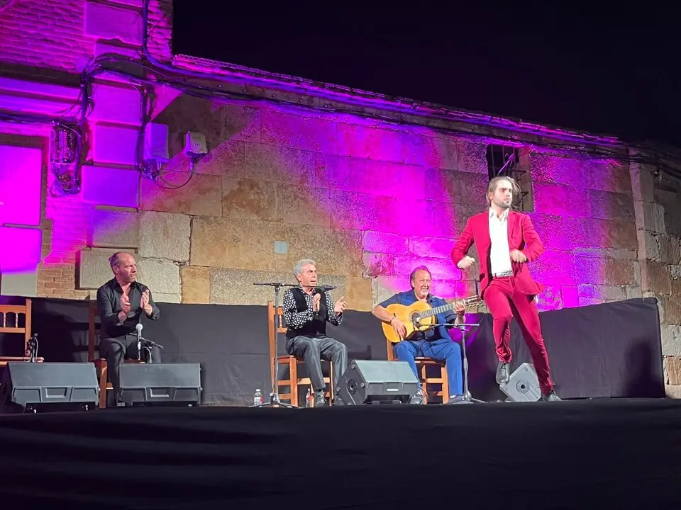 flamenco villaralbo  (18)