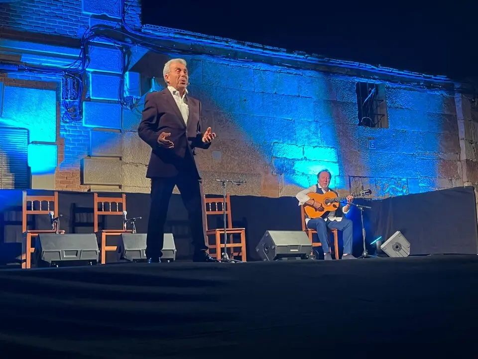 flamenco villaralbo  (20)