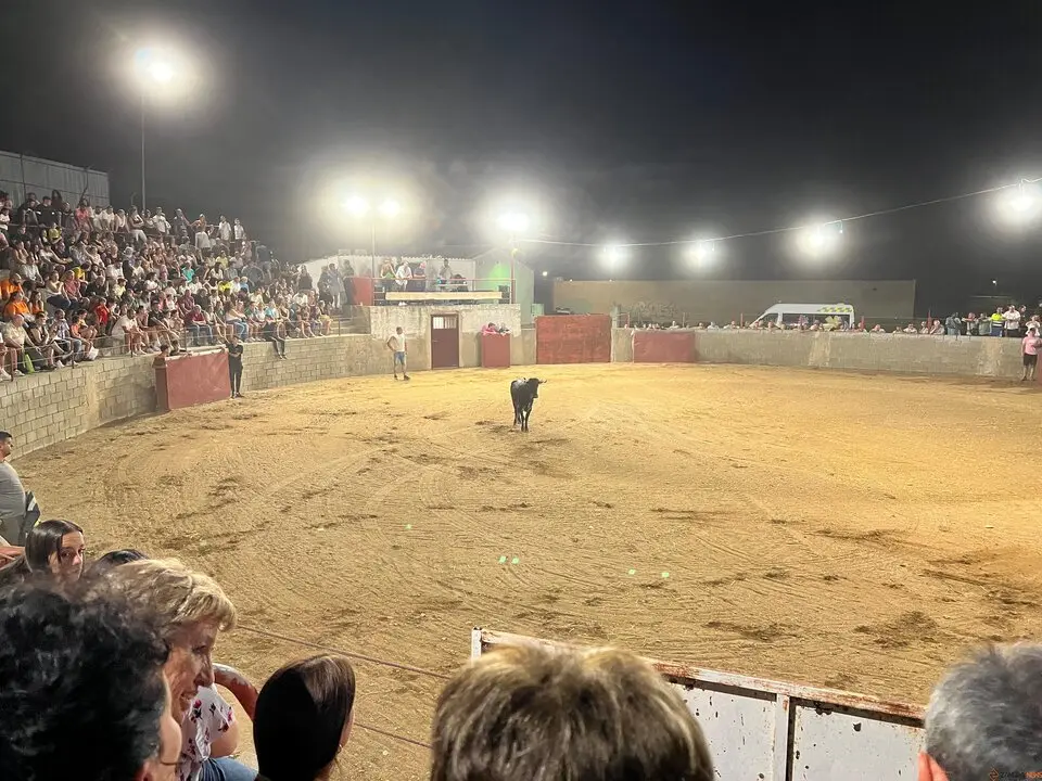 Coreses, vaquillas