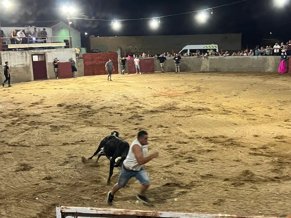 Coreses, vaquillas