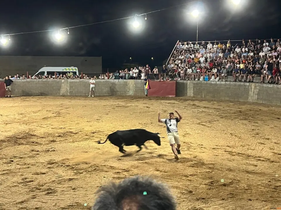 Coreses, vaquillas