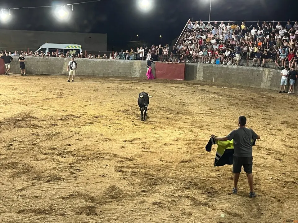 Coreses, vaquillas