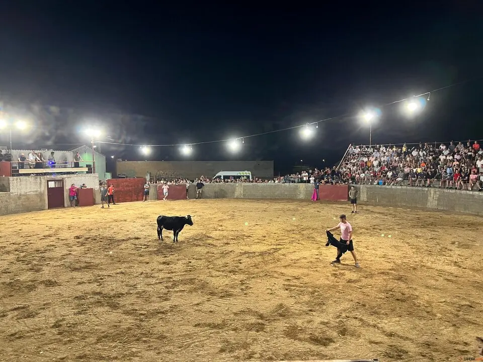 Coreses, vaquillas