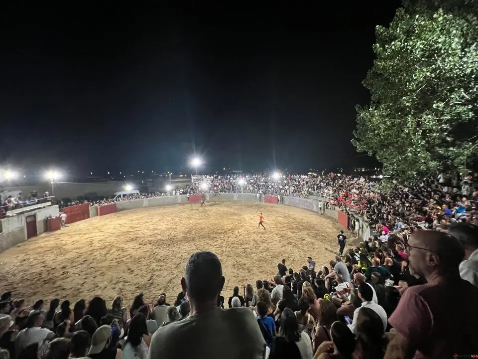 Coreses, vaquillas