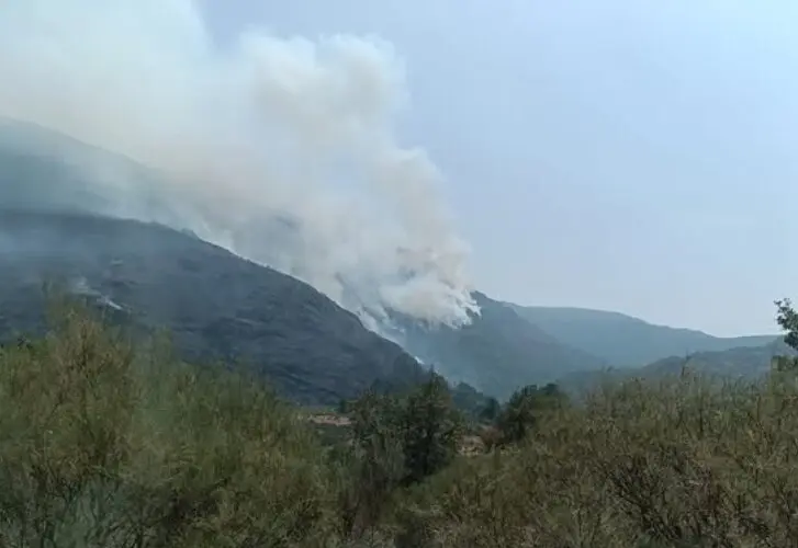 conatos de incendio en Zamora