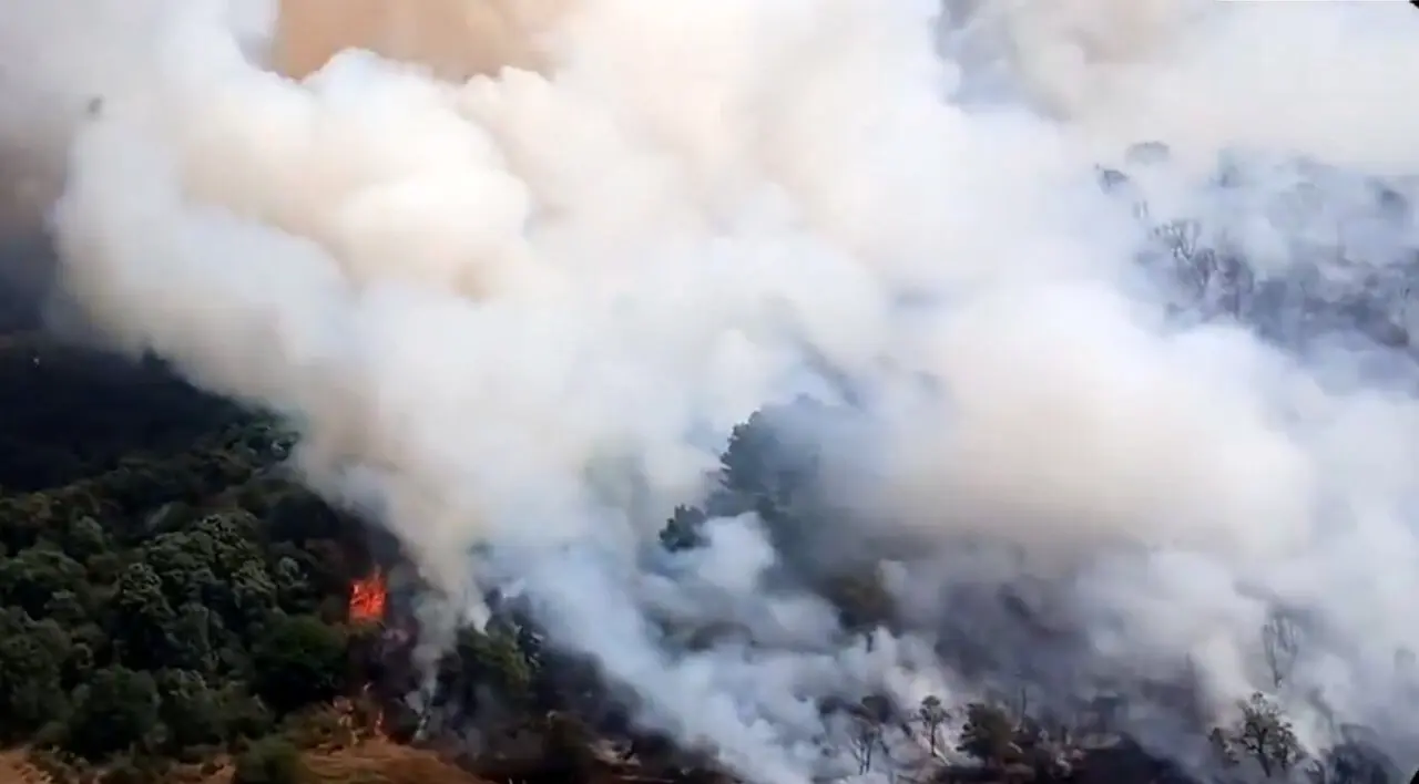 mahide fuego IGR1