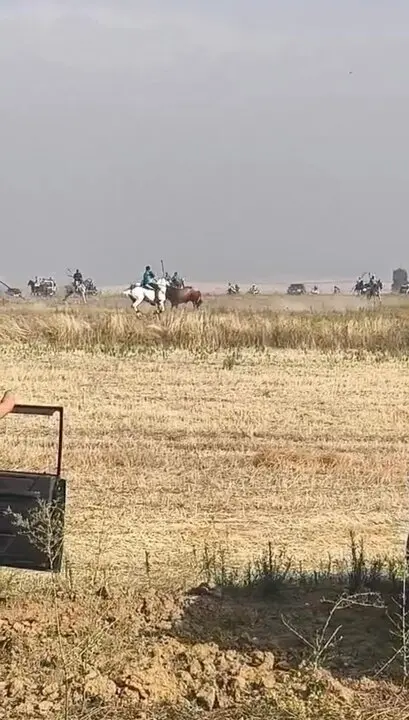 Coreses, encierro campero