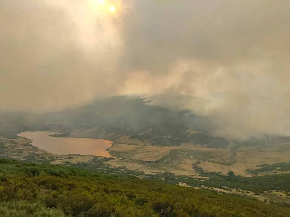 Fuego Porto