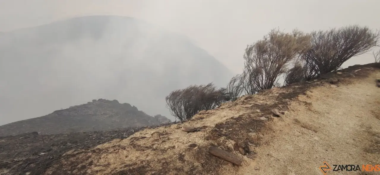 cañón del Forcadura arrasado por las llamas