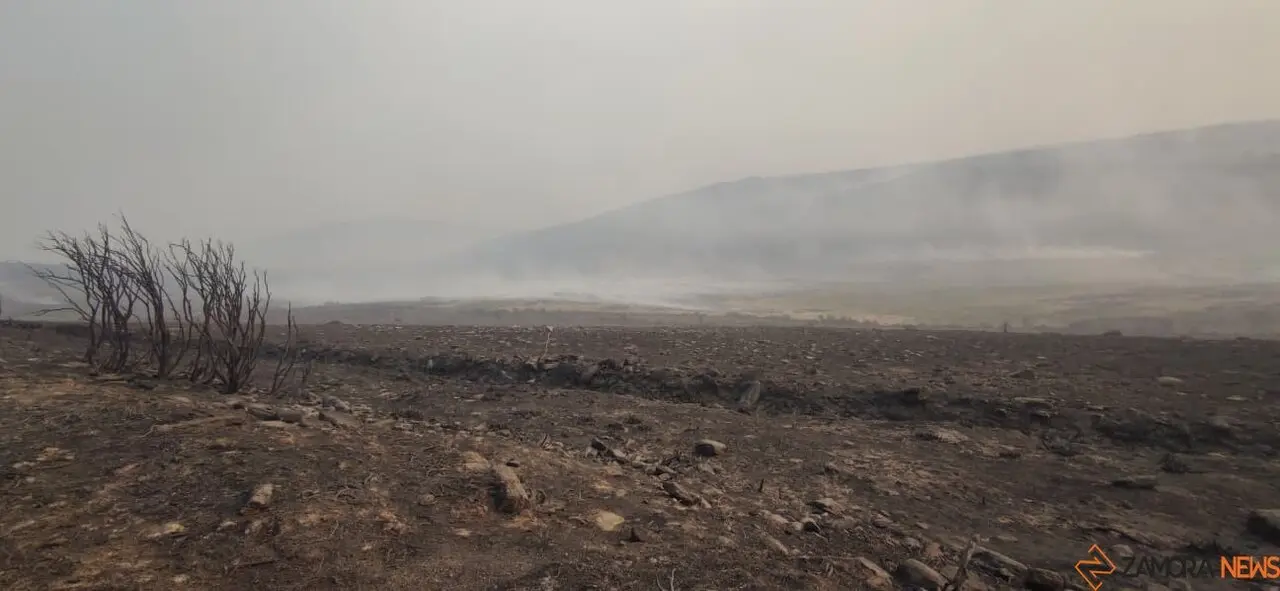 cañón del Forcadura arrasado por las llamas
