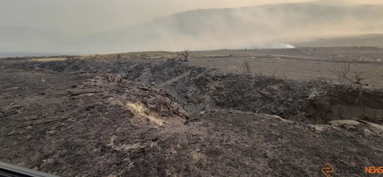 cañón del Forcadura arrasado por las llamas