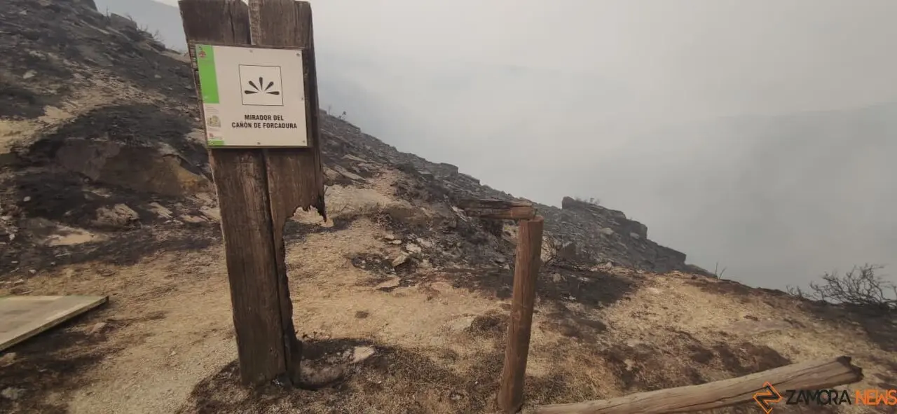 cañón del Forcadura arrasado por las llamas