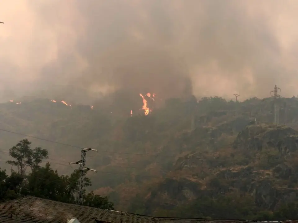 ribadelago fuego ladera