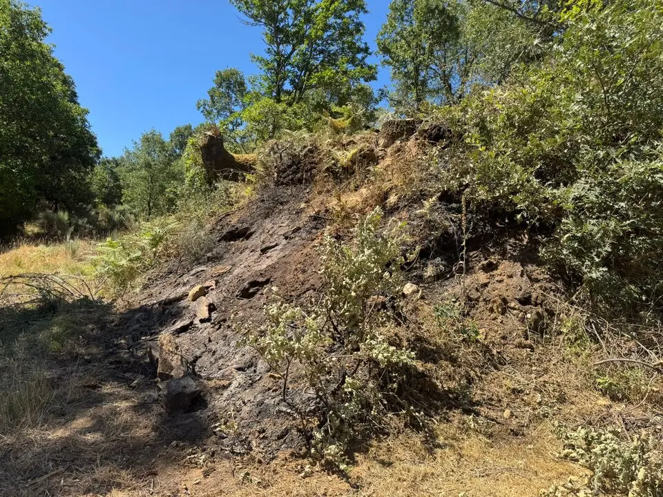 quema palacios sanabria