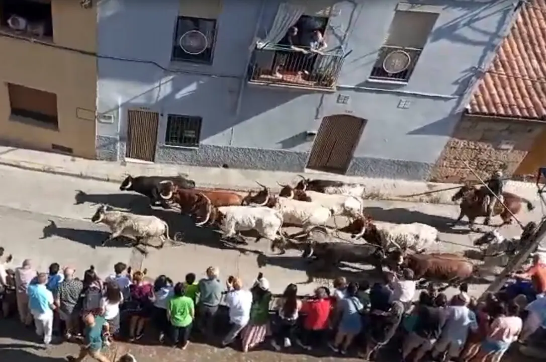 Encierro Fermoselle