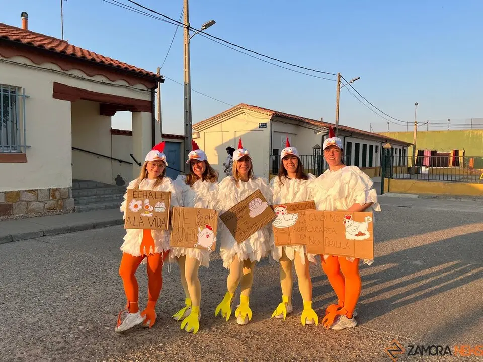 Desfile de peñas Villalazán_10