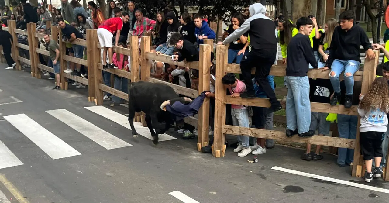 encierros toro