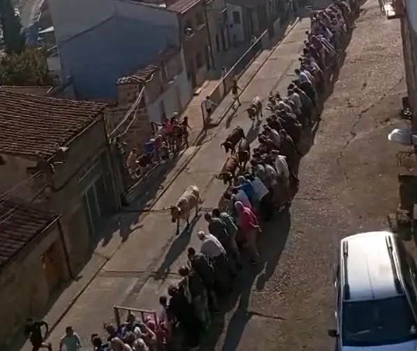 fermoselle encierro 1