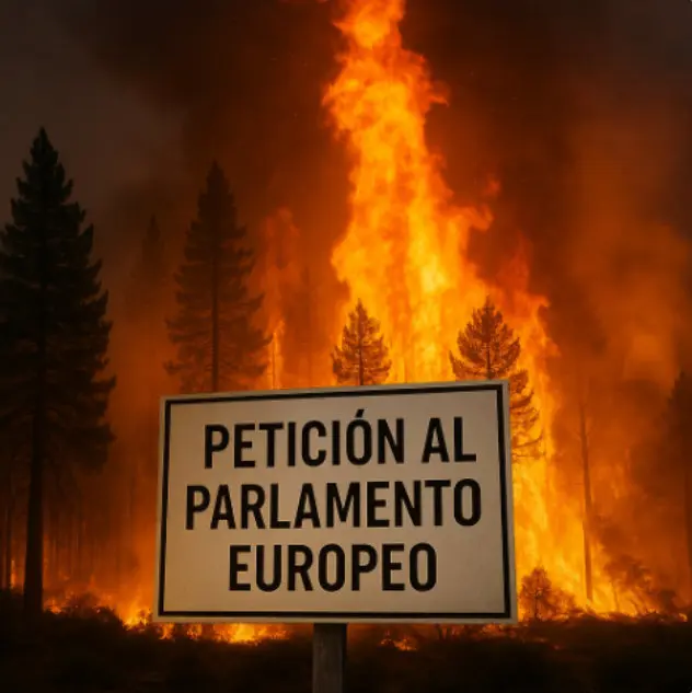 petición al parlamento europeo