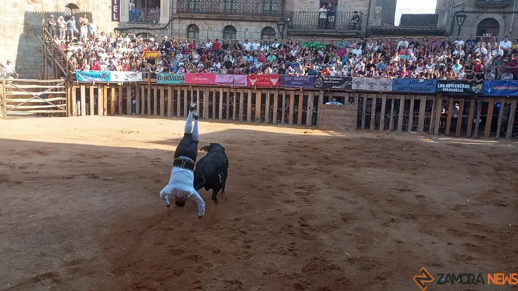 Concurso de Cortes Fermoselle_2