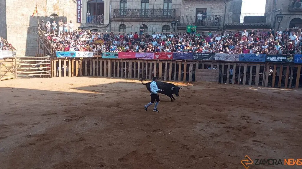 Concurso de Cortes Fermoselle_3