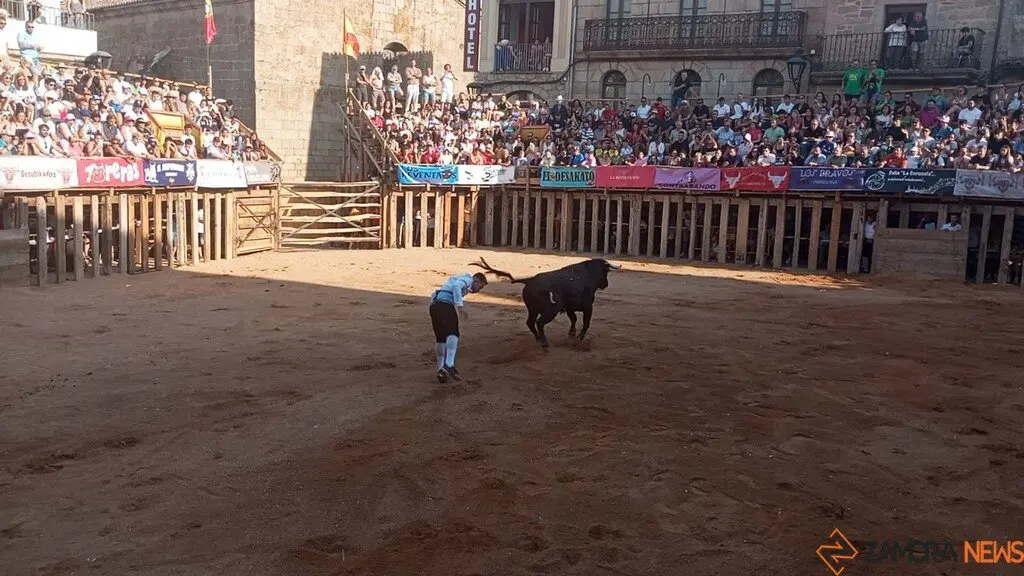 Concurso de Cortes Fermoselle_5