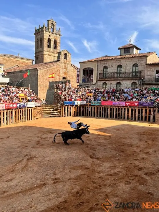 Concurso de Cortes Fermoselle_6
