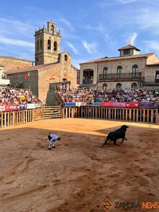 Concurso de Cortes Fermoselle_8