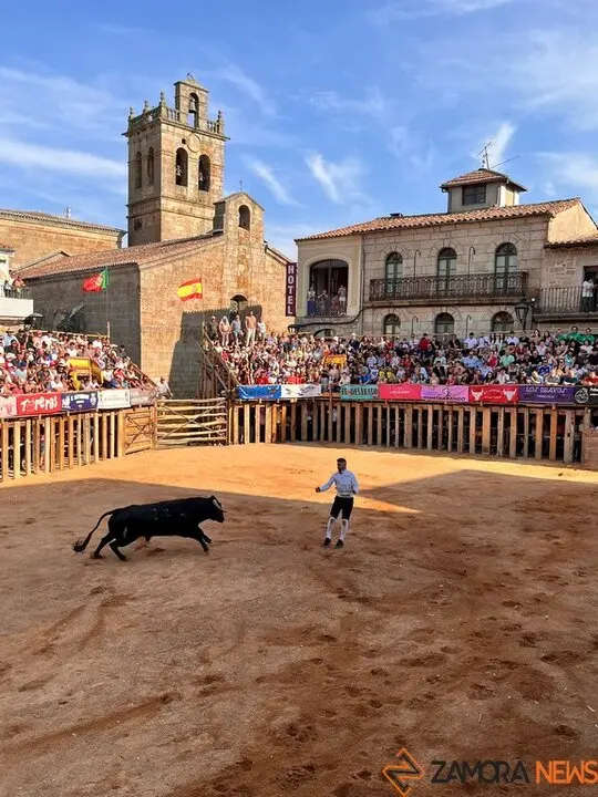 Concurso de Cortes Fermoselle_7