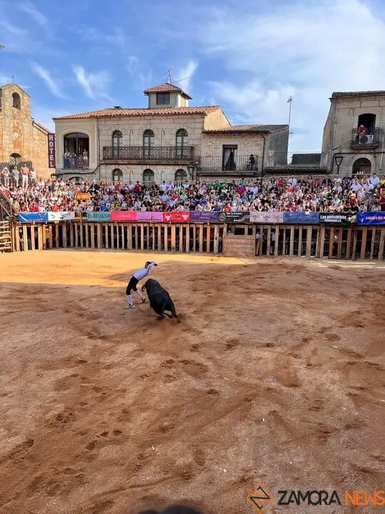 Concurso de Cortes Fermoselle_9