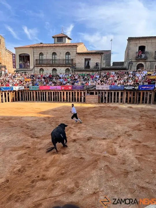 Concurso de Cortes Fermoselle_10