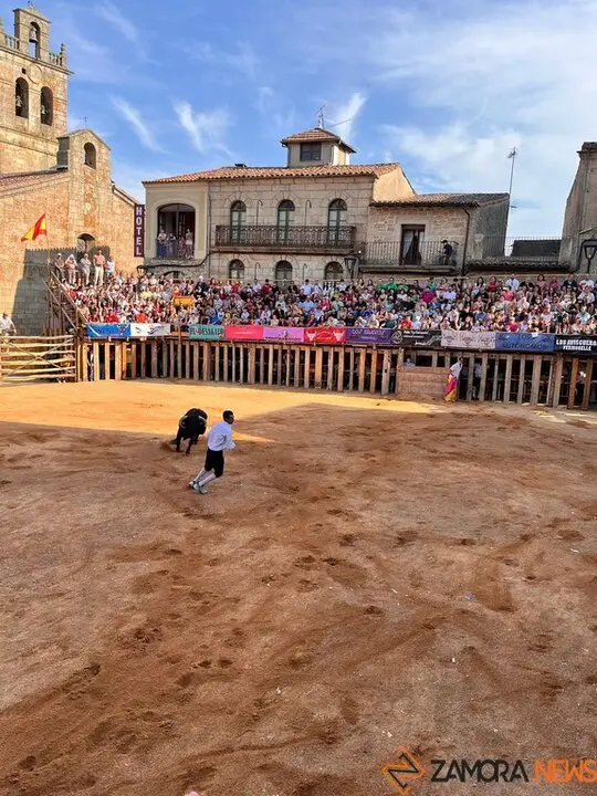 Concurso de Cortes Fermoselle_12