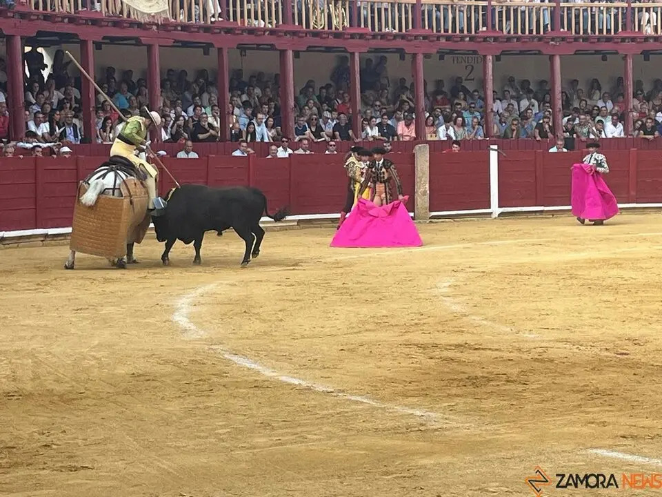 Corrida Toro 2025_4