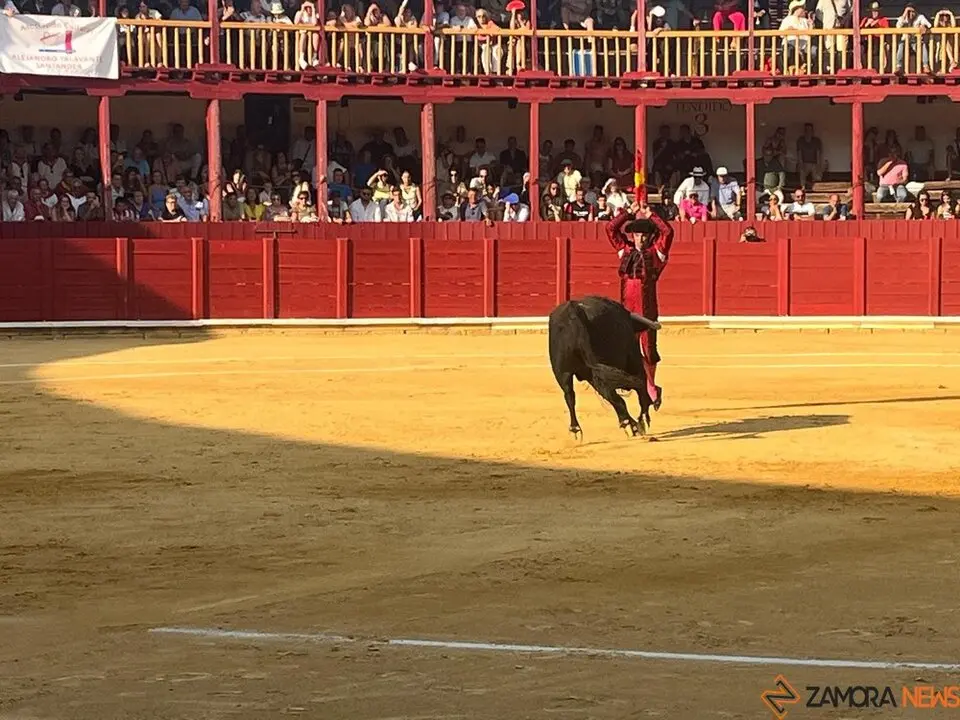 Corrida Toro 2025_5