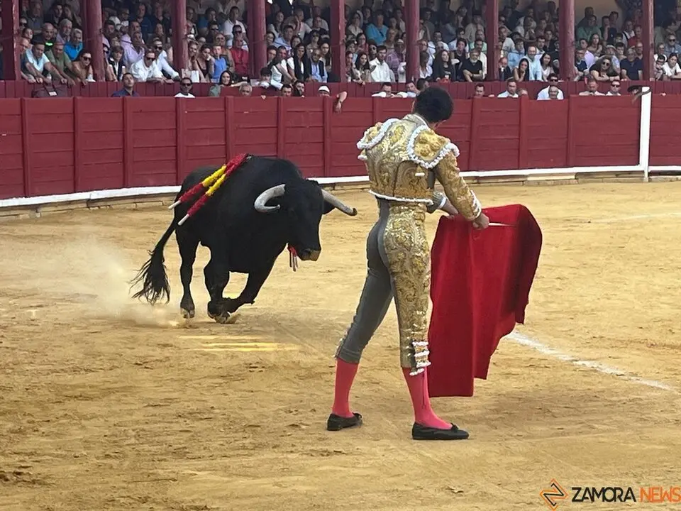 Corrida Toro 2025_6