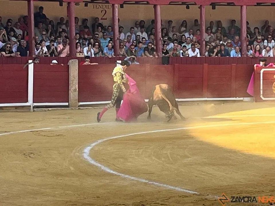 Corrida Toro 2025_8