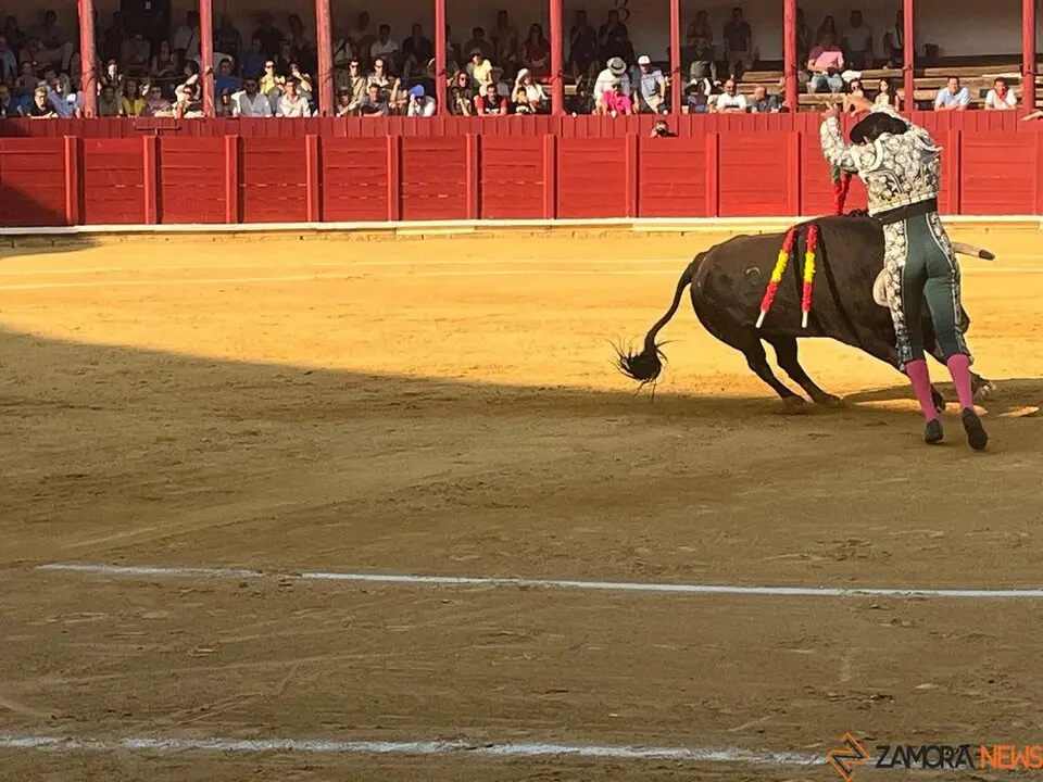 Corrida Toro 2025_10