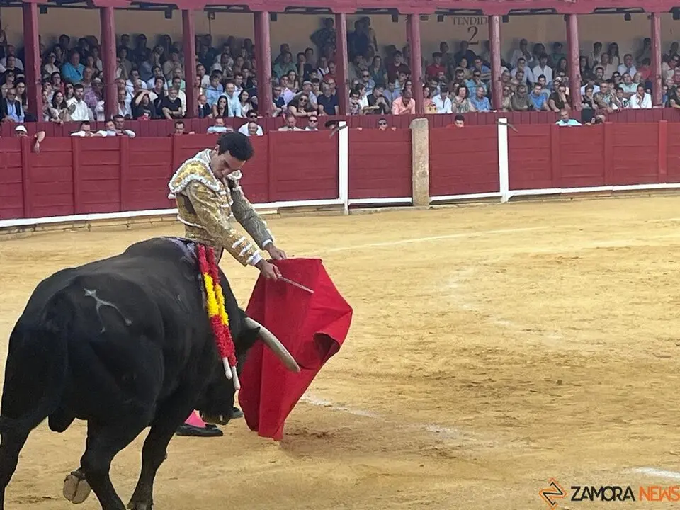 Corrida Toro 2025_12