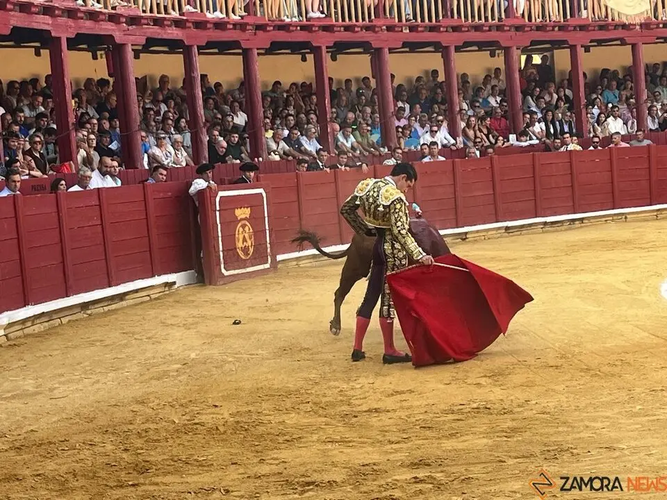 Corrida Toro 2025_13